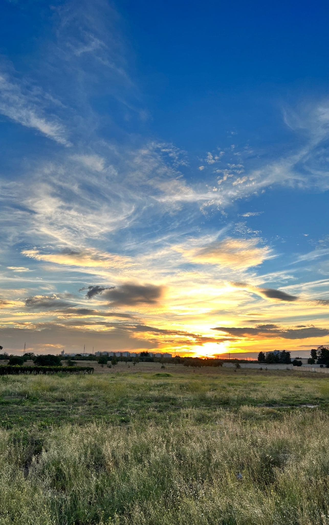 Cielo al tramonto sopra i campi della Puglia